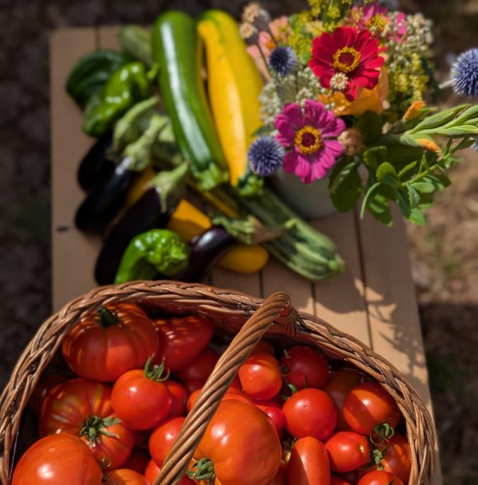 panier de légumes du jardin