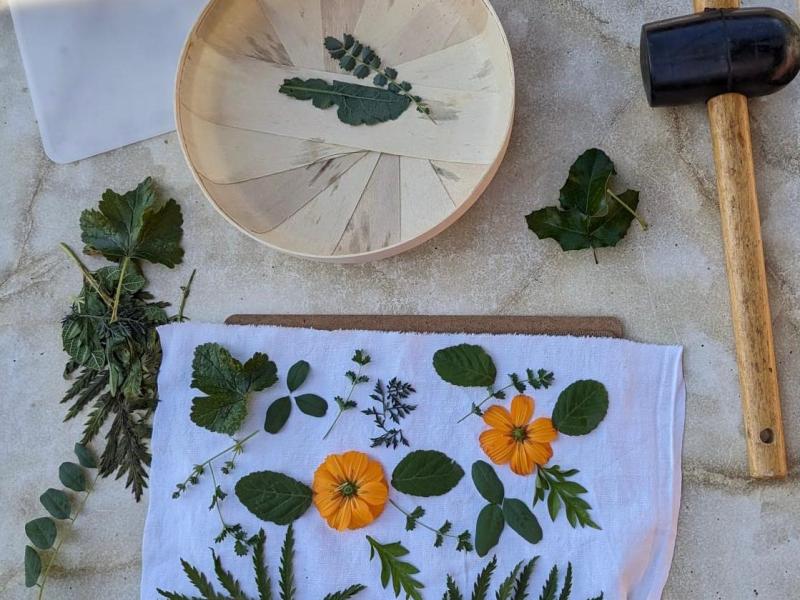 Atelier de teinture naturelle Tataki-zomé – jeudi 11&nbsp;juin
